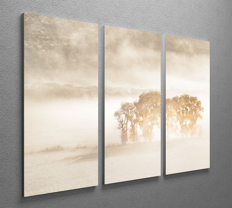 Autumn Dreams 3 Split Panel Canvas Print featuring vibrant autumn colors and elegant design, perfect for home decor.