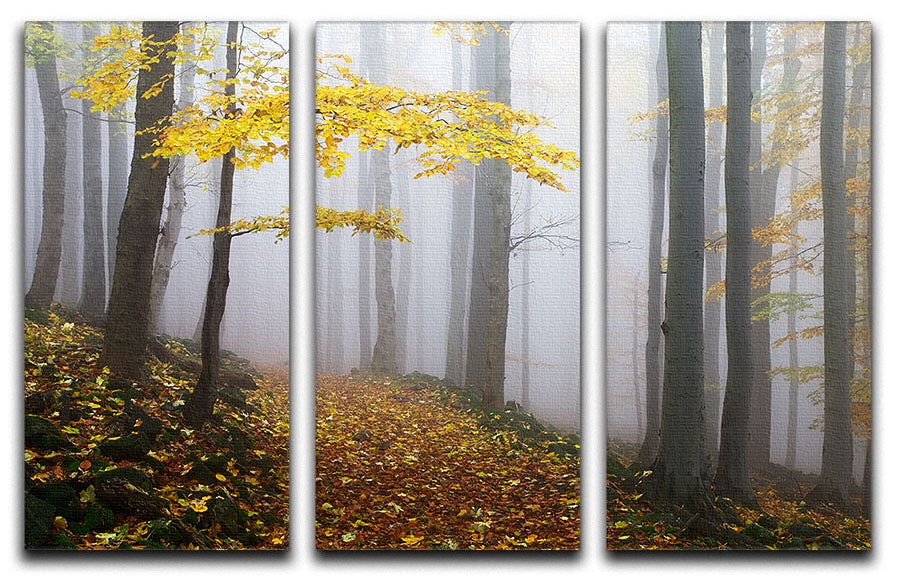 Autumn Fall Landscape 3 Split Panel Canvas Print showcasing vibrant fall colors and serene nature scenery across three panels.