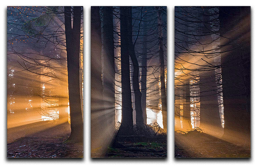 Autumn Forest 3 Split Panel Canvas Print showcasing vibrant forest colors across three canvases.
