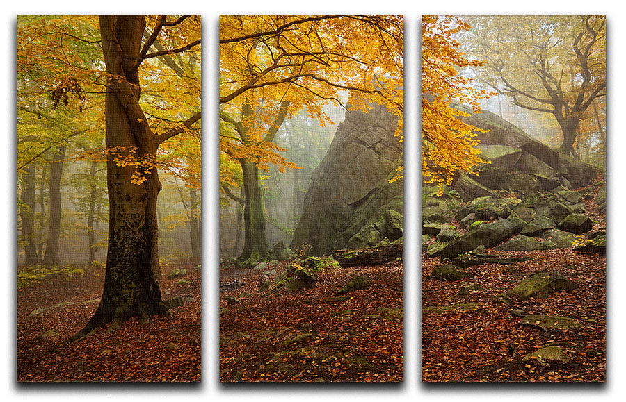 Autumn Forest 3 Split Panel Canvas Print showcasing vibrant forest colors across three canvases.