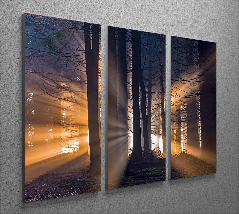 Autumn Forest 3 Split Panel Canvas Print showcasing vibrant forest colors across three canvases.