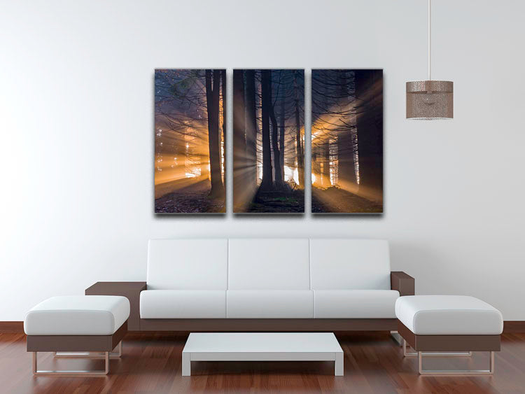 Autumn Forest 3 Split Panel Canvas Print showcasing vibrant forest colors across three canvases.