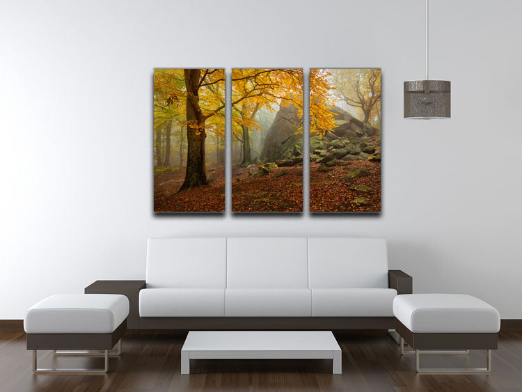 Autumn Forest 3 Split Panel Canvas Print showcasing vibrant forest colors across three canvases.