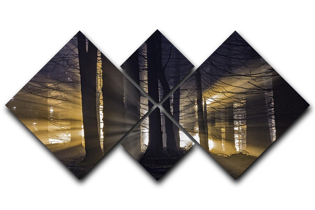 Autumn Forest 4 Square Multi Panel Canvas featuring vibrant fall colors in a modern arrangement.