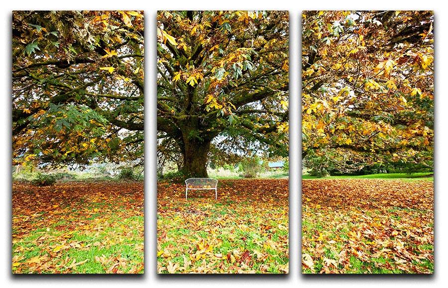 Autumn Leaves 3 Split Panel Canvas Print showcasing vibrant fall foliage in three panels.