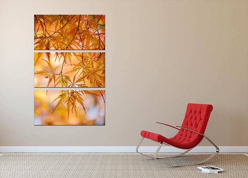 Autumn Leaves 3 Split Panel Canvas Print showcasing vibrant fall foliage in three panels.