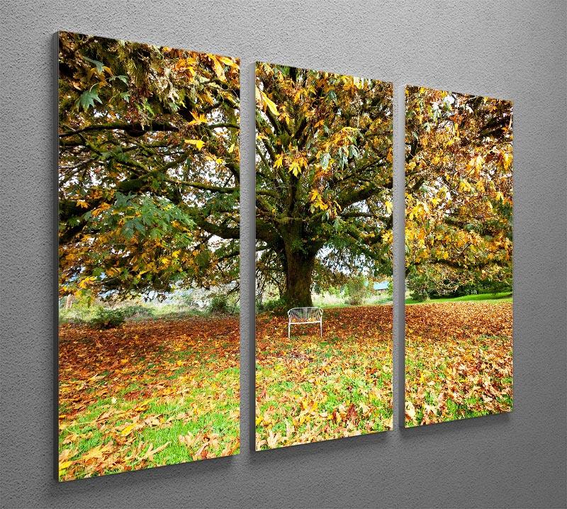 Autumn Leaves 3 Split Panel Canvas Print showcasing vibrant fall foliage in three panels.
