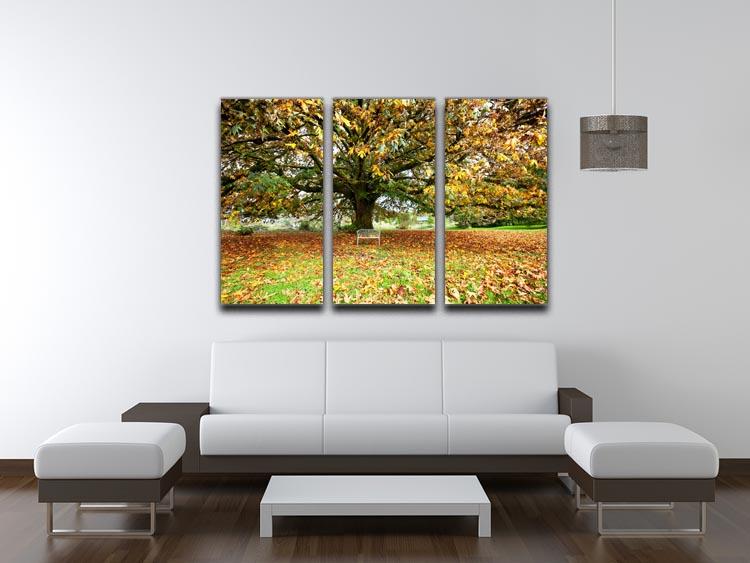 Autumn Leaves 3 Split Panel Canvas Print showcasing vibrant fall foliage in three panels.