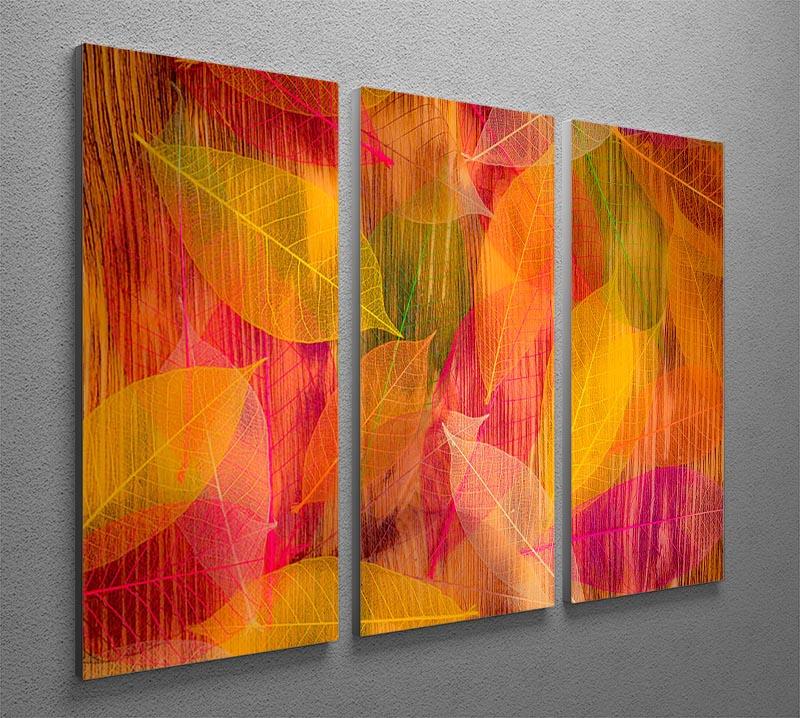 A beautiful 3-panel canvas print featuring autumn leaves, showcasing vibrant colors and intricate textures, perfect for home decor.