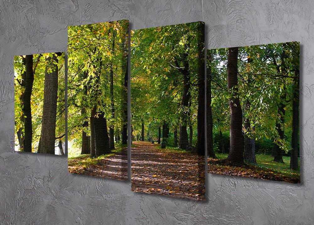 A beautiful 4-split canvas artwork depicting an autumn road lined with colorful leaves in a serene park setting.