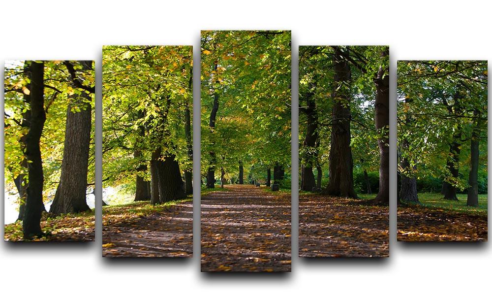 A beautiful 5 split panel canvas artwork depicting an autumn road lined with colorful leaves in a serene park setting.