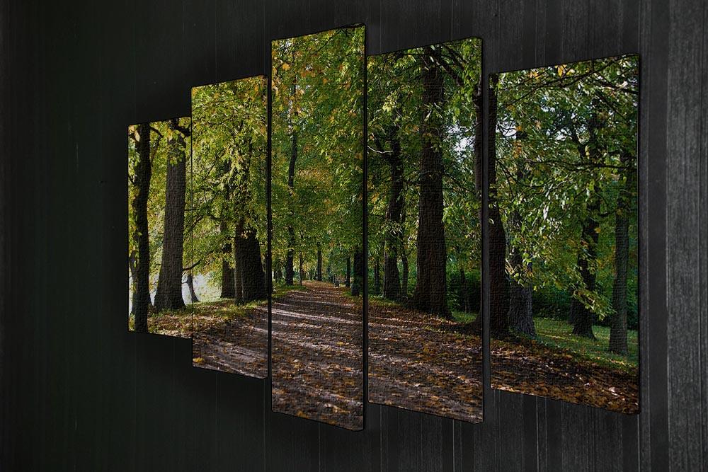 A beautiful 5 split panel canvas artwork depicting an autumn road lined with colorful leaves in a serene park setting.
