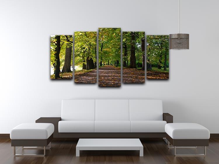 A beautiful 5 split panel canvas artwork depicting an autumn road lined with colorful leaves in a serene park setting.