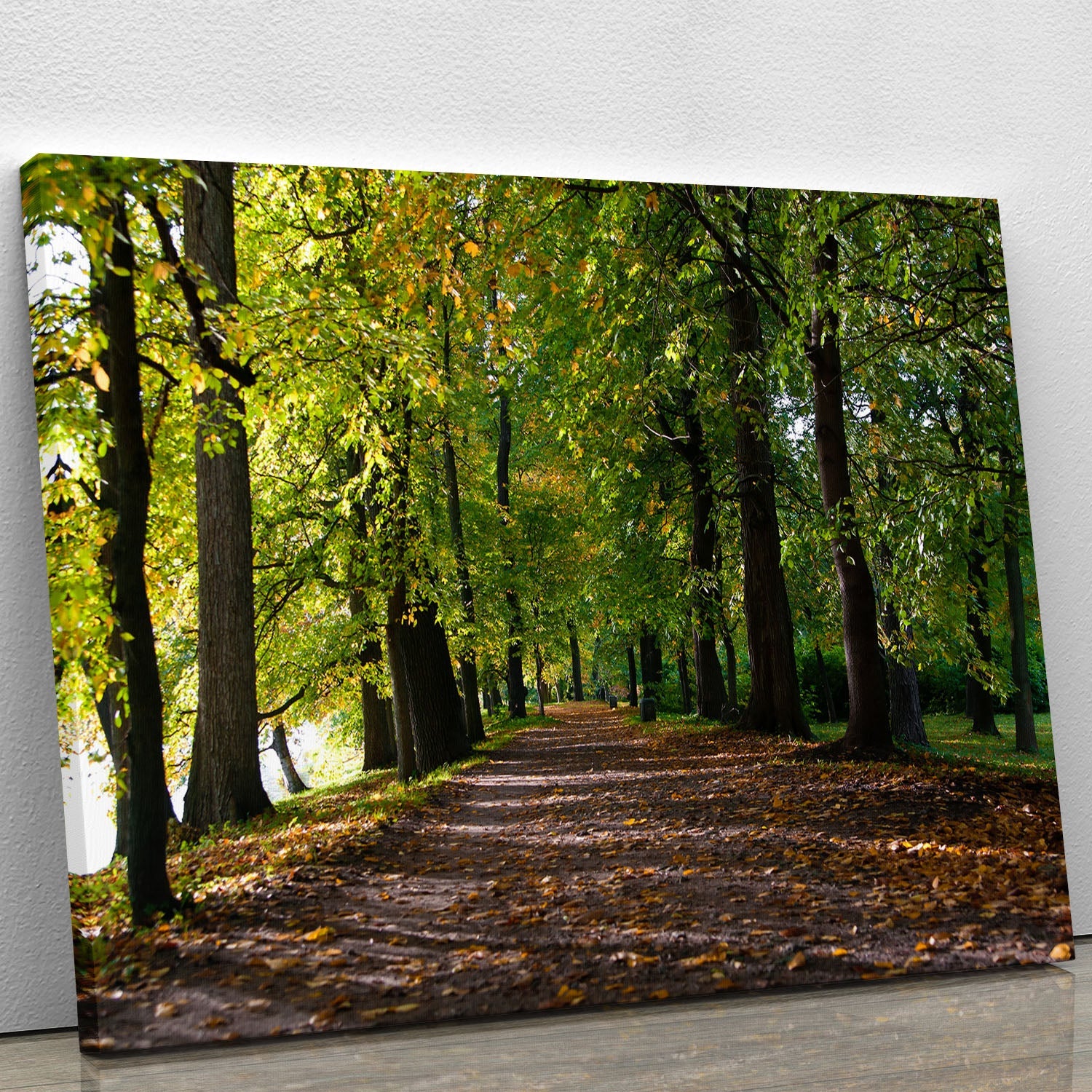 A beautiful canvas print of an autumn road lined with colorful leaves in a serene park setting.