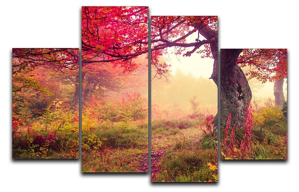 A beautiful 4-split canvas artwork featuring vibrant autumn trees in a forest setting, showcasing rich colors and dynamic design.