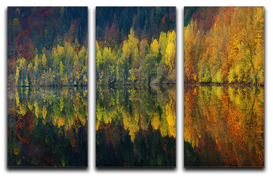 Autumnal Silence 3 Split Panel Canvas Print showcasing vibrant autumn colors and serene landscape.