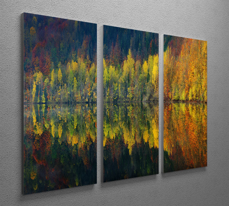 Autumnal Silence 3 Split Panel Canvas Print showcasing vibrant autumn colors and serene landscape.