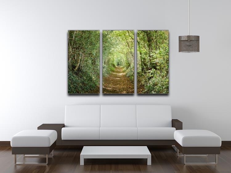 Avenue of Trees 3 Split Panel Canvas Print featuring three panels of beautiful tree artwork, ideal for home decor.