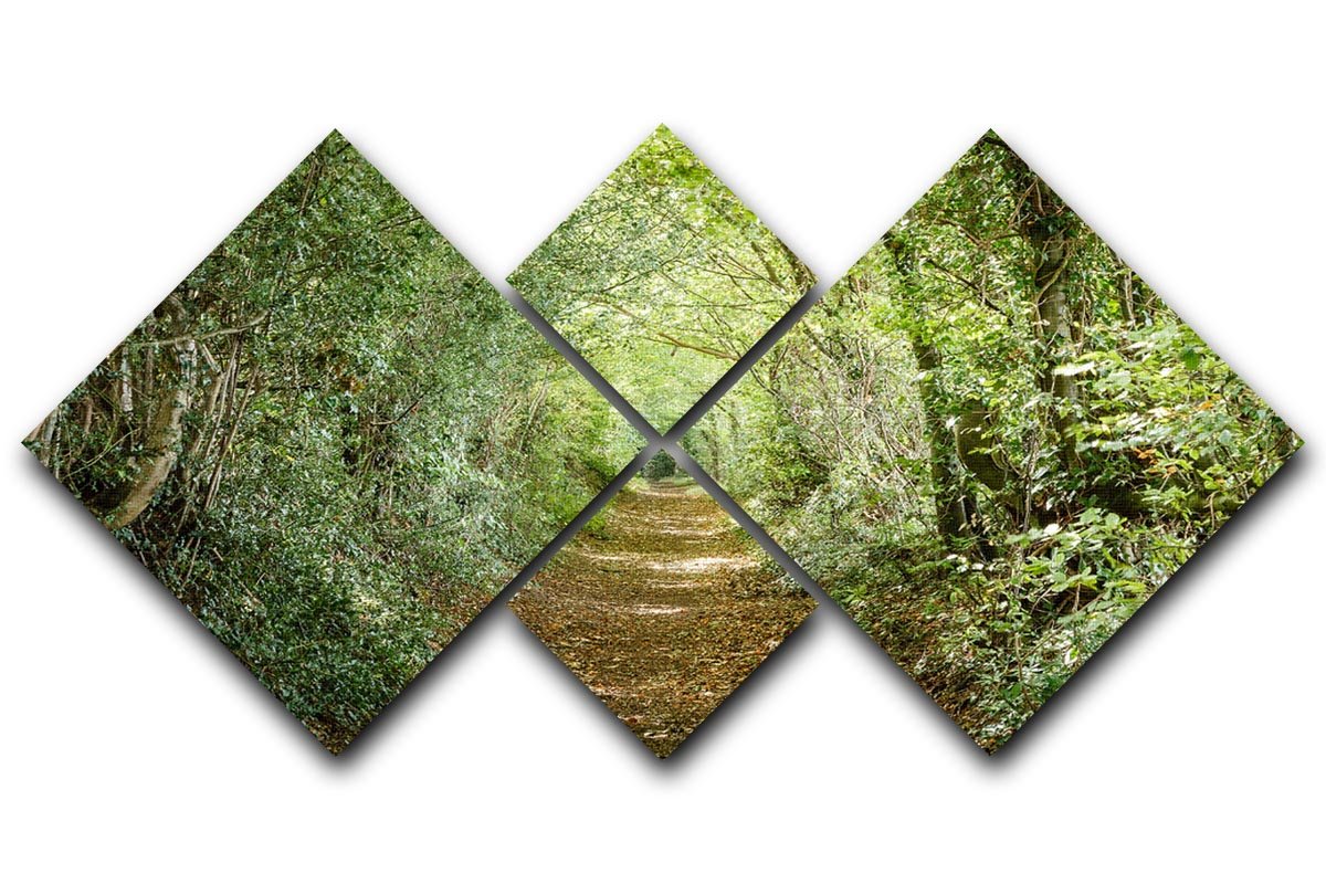 Avenue of Trees 4 Square Multi Panel Canvas artwork featuring serene tree imagery divided into four equal panels.