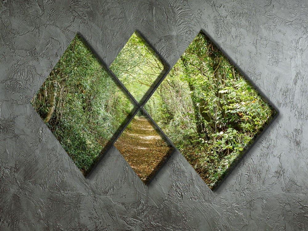 Avenue of Trees 4 Square Multi Panel Canvas artwork featuring serene tree imagery divided into four equal panels.