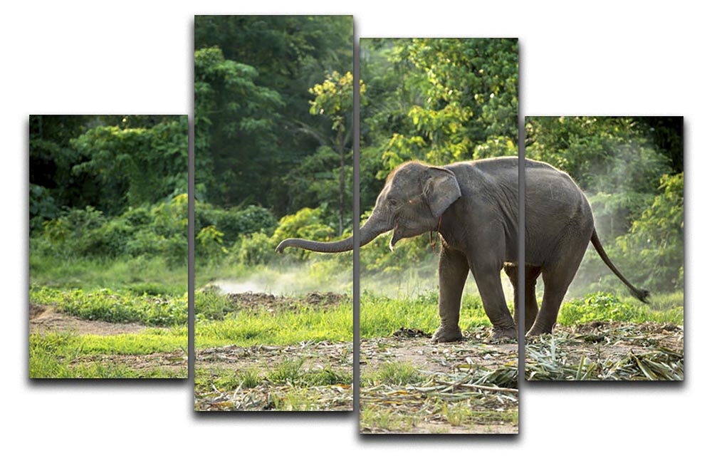 A vibrant 4-panel canvas artwork featuring a baby elephant, showcasing its playful nature and charm.