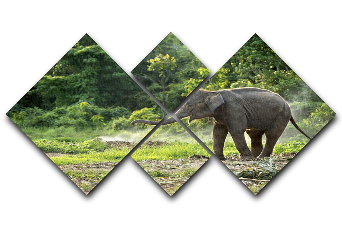 A charming multi-panel canvas artwork featuring a baby elephant, divided into four equal sections, showcasing vibrant colors and intricate details.