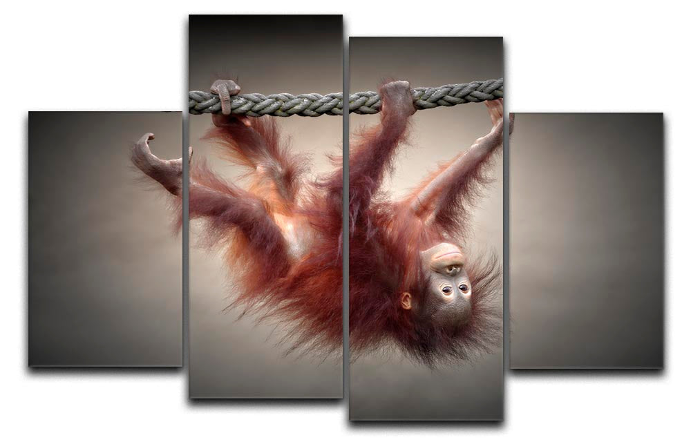 A vibrant 4-split canvas artwork featuring a playful baby monkey, perfect for children's rooms.