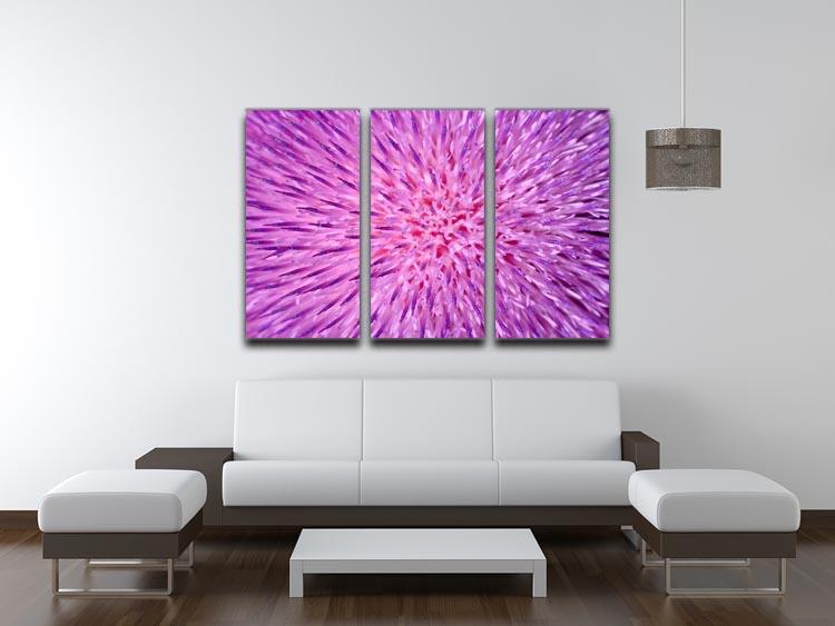 A beautiful 3-panel canvas print featuring a thistle flower design, showcasing vibrant colors and intricate details, perfect for home decor.