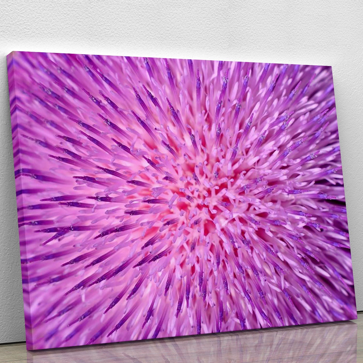 A beautiful canvas print featuring a thistle flower, showcasing vibrant colors and intricate details, perfect for home decor.