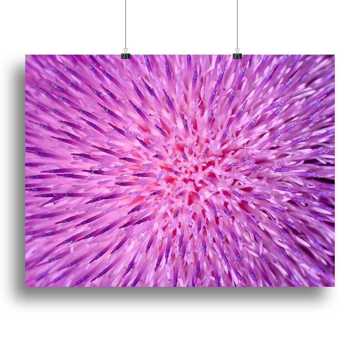 A beautiful canvas print featuring a thistle flower, showcasing vibrant colors and intricate details, perfect for home decor.