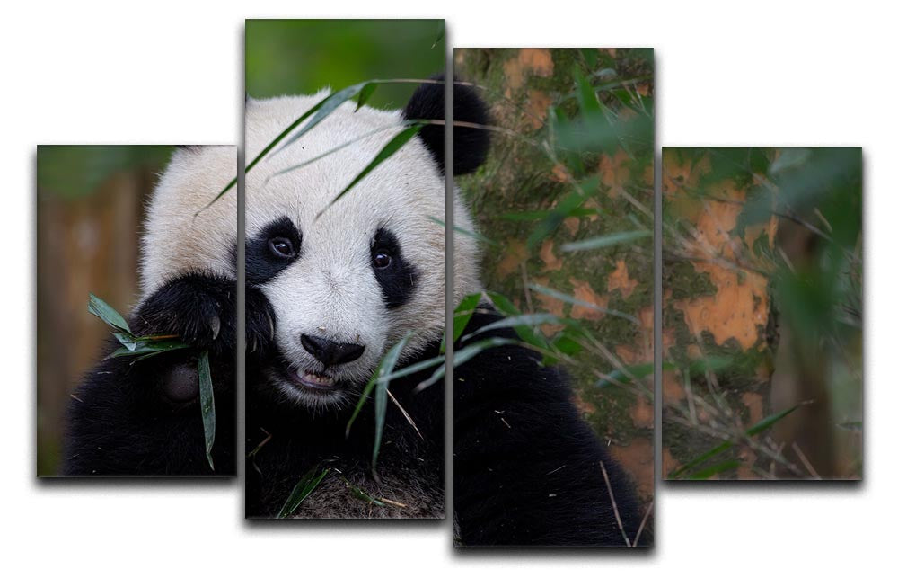 Bamboo Time 4 Split Panel Canvas artwork featuring four equal sections with a cohesive design, ideal for modern decor.