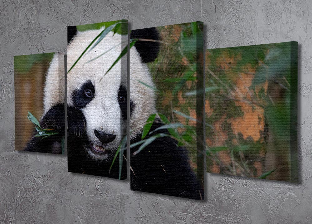 Bamboo Time 4 Split Panel Canvas artwork featuring four equal sections with a cohesive design, ideal for modern decor.