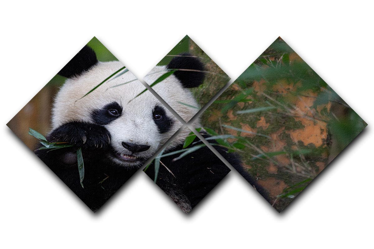 Bamboo Time 4 Square Multi Panel Canvas featuring four equal square sections, beautifully arranged to create a cohesive artwork.