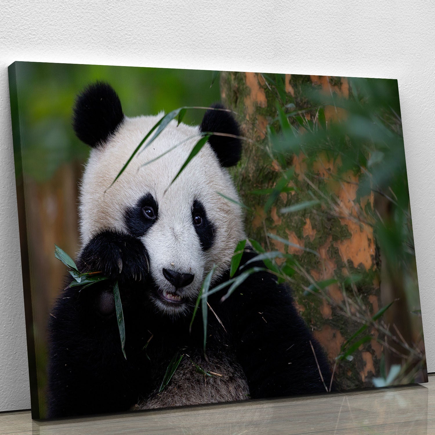 Bamboo Time Canvas Print showcasing a serene bamboo forest design, perfect for home or office decor.