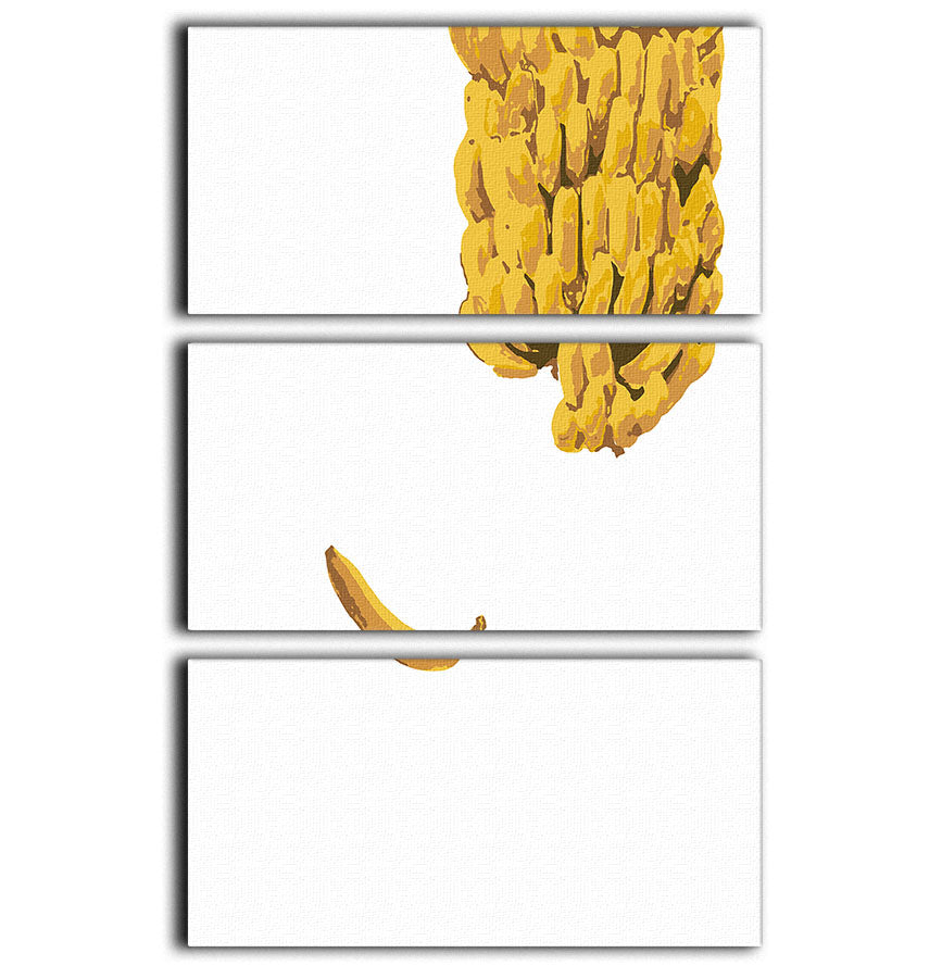 A vibrant 3-panel canvas print featuring bananas, showcasing rich colors and intricate details, perfect for home decor.