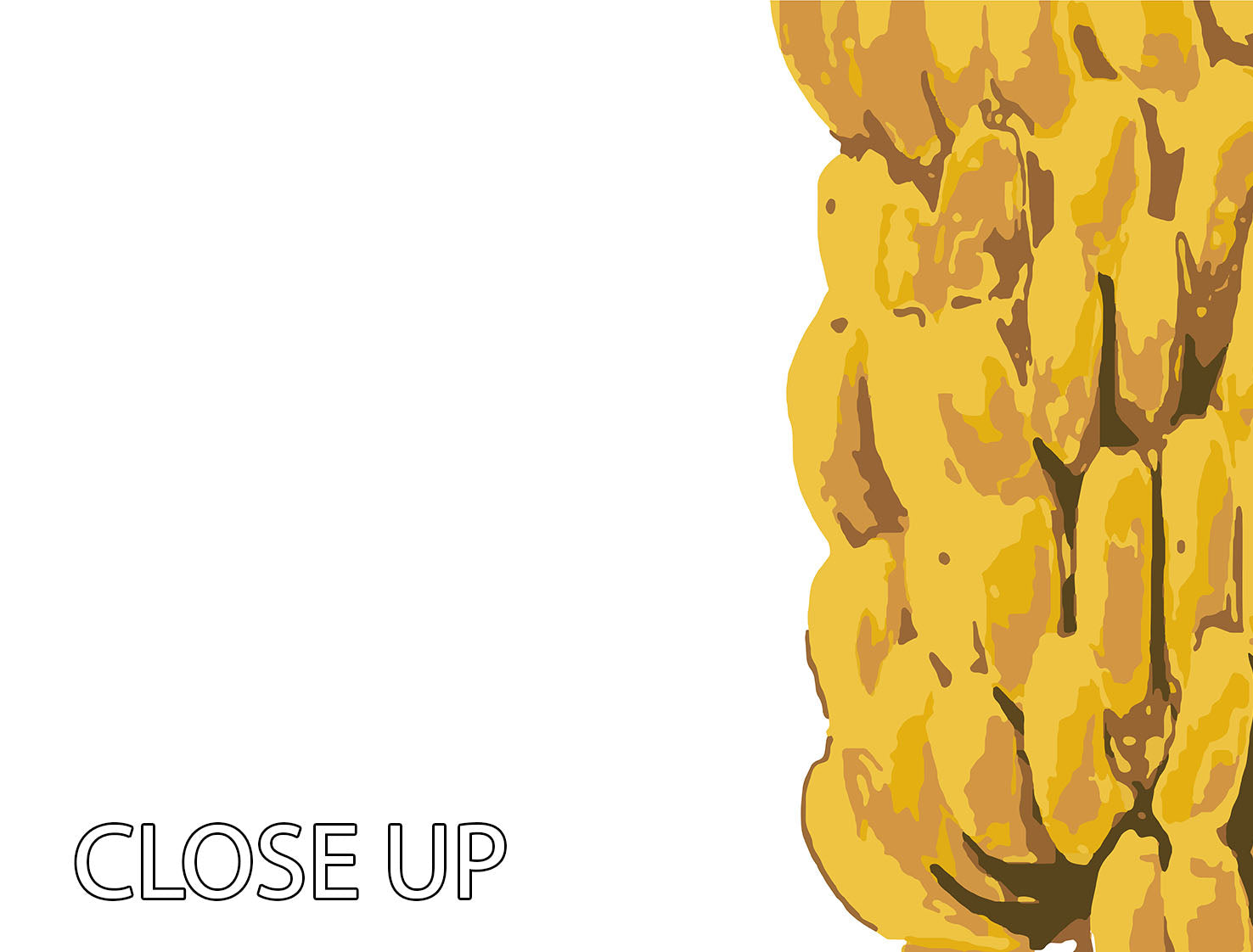 A vibrant 3-panel canvas print featuring bananas, showcasing rich colors and intricate details, perfect for home decor.