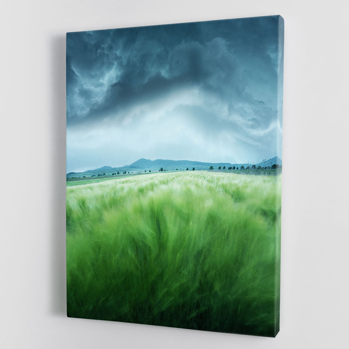 A beautiful canvas print of a barley field, showcasing golden grains swaying in the breeze under a clear blue sky.