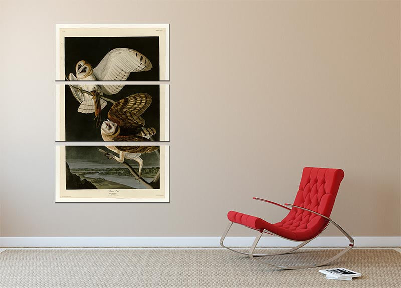 A stunning 3-panel canvas print featuring a barn owl, showcasing vibrant colors and intricate details, perfect for home decor.