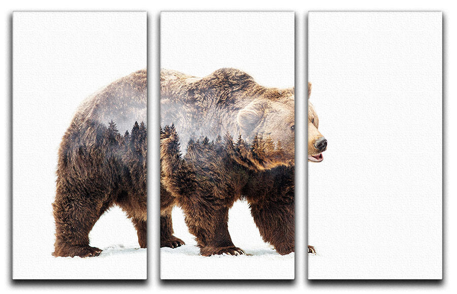 Bear 3 Split Panel Canvas Print featuring three high-quality canvases with a captivating design, perfect for enhancing any room's decor.