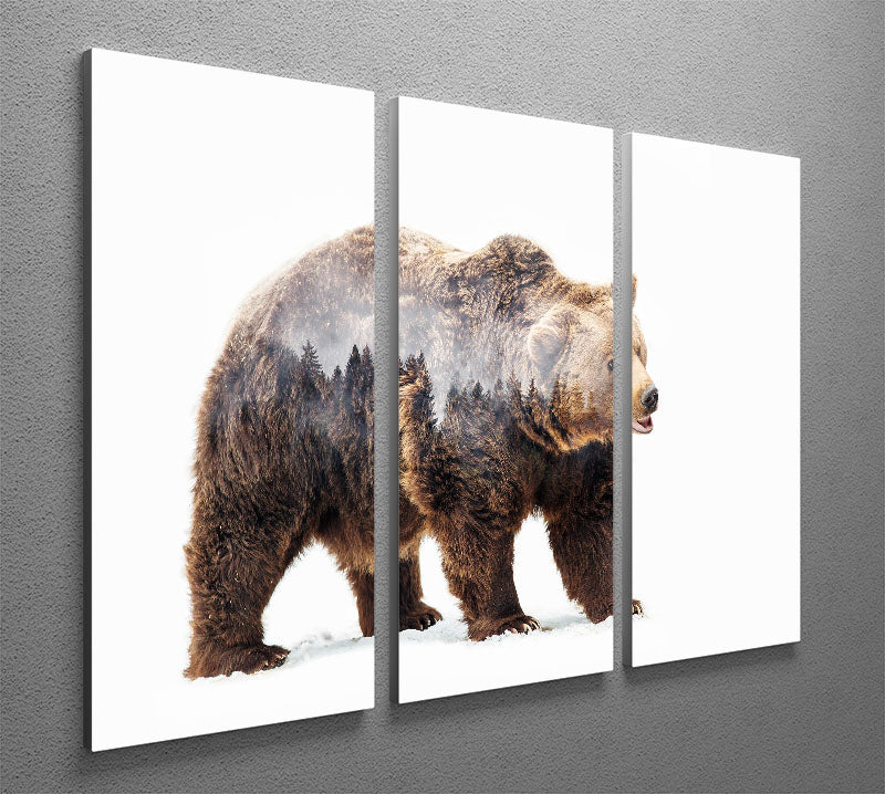 Bear 3 Split Panel Canvas Print featuring three high-quality canvases with a captivating design, perfect for enhancing any room's decor.