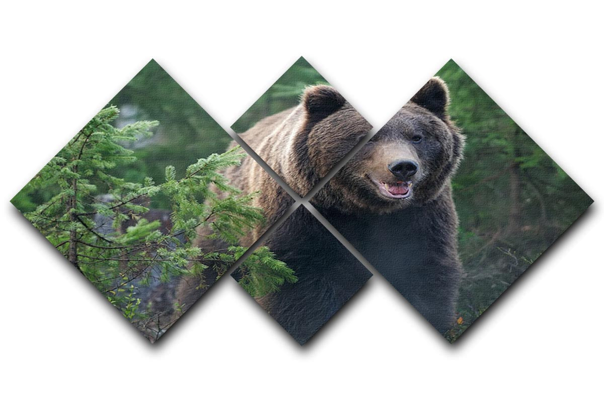 A beautiful multi-panel canvas artwork featuring a bear in a lush forest, divided into four equal square sections.