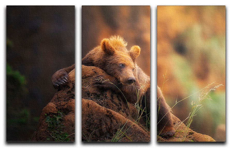 A stunning Bear portrait displayed on a 3-panel canvas print, showcasing vibrant colors and intricate details.