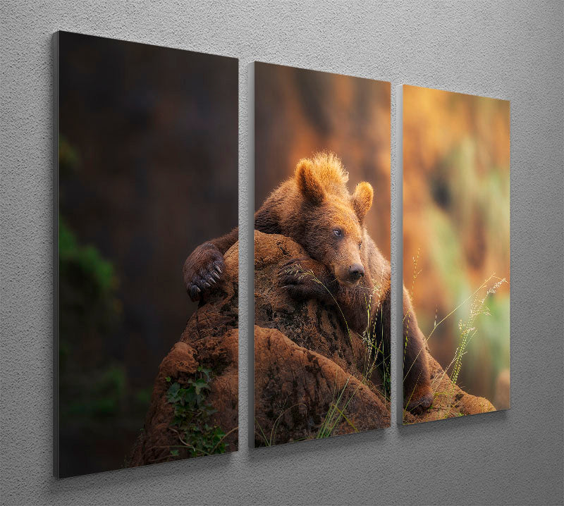 A stunning Bear portrait displayed on a 3-panel canvas print, showcasing vibrant colors and intricate details.