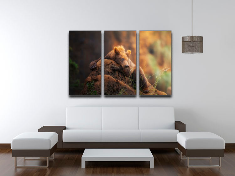 A stunning Bear portrait displayed on a 3-panel canvas print, showcasing vibrant colors and intricate details.