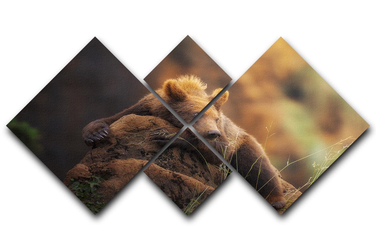 A beautiful bear portrait displayed on a 4-square multi-panel canvas, showcasing intricate details and vibrant colors.