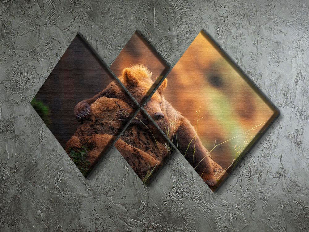 A beautiful bear portrait displayed on a 4-square multi-panel canvas, showcasing intricate details and vibrant colors.