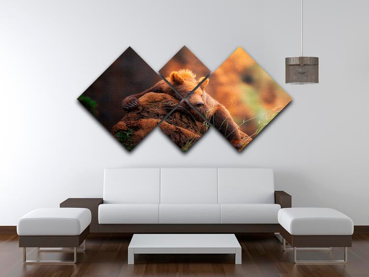A beautiful bear portrait displayed on a 4-square multi-panel canvas, showcasing intricate details and vibrant colors.