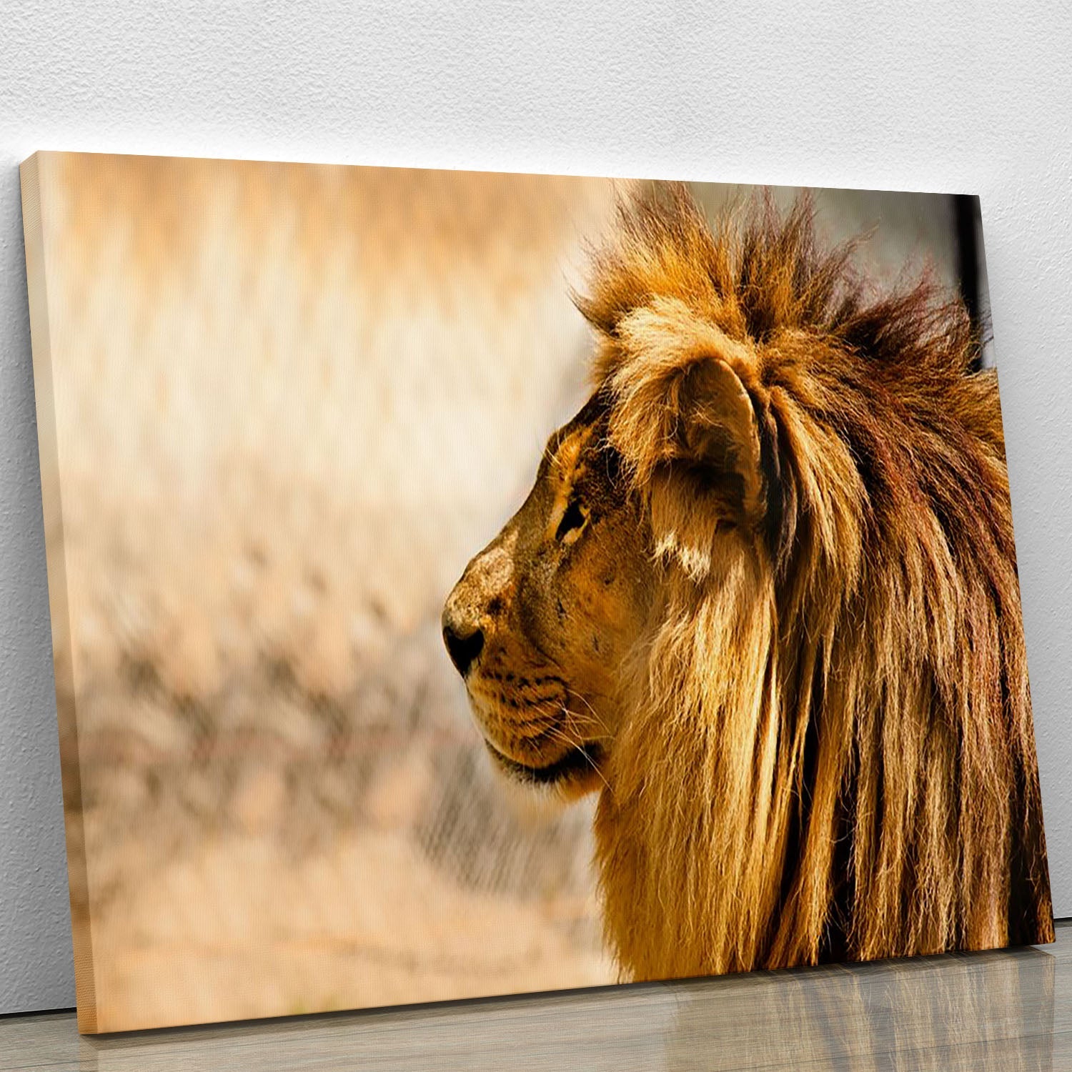 A beautiful canvas print of an African lion relaxing in the sun, showcasing its majestic features and vibrant colors.