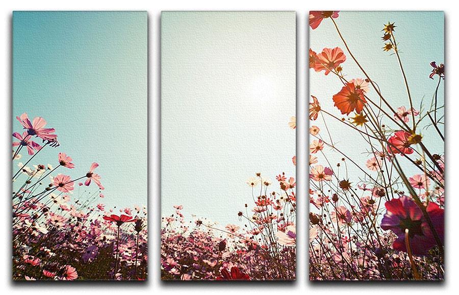 A beautiful 3-panel canvas print featuring vibrant cosmos flowers, enhancing any room decor.