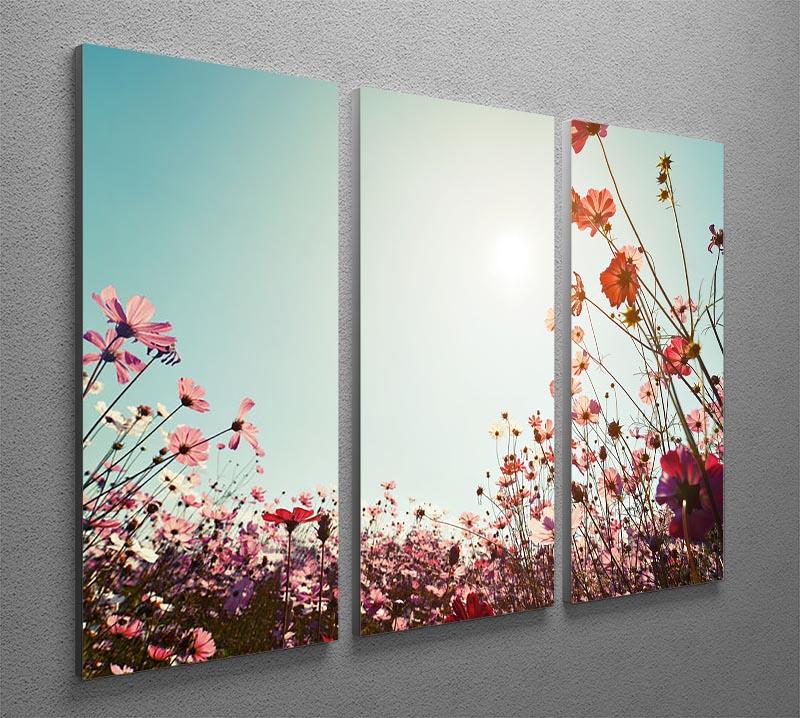 A beautiful 3-panel canvas print featuring vibrant cosmos flowers, enhancing any room decor.
